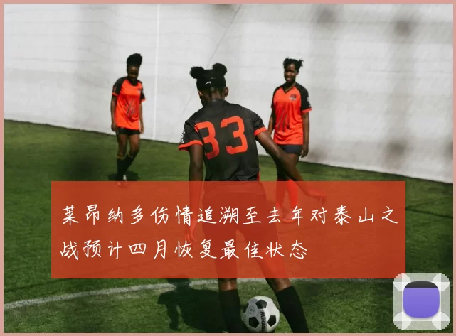 莱昂纳多伤情追溯至去年对泰山之战预计四月恢复最佳状态